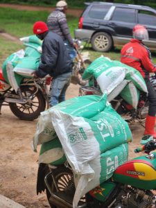 Read more about the article MUAMKO WA WAKULIMA KWENYE MBOLEA YA KUPANDIA TSP